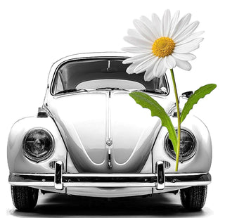 Love Bug Tee, White