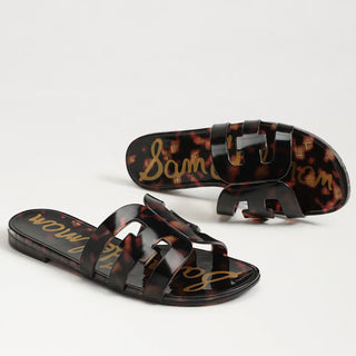 Bay Jelly, Tortoise