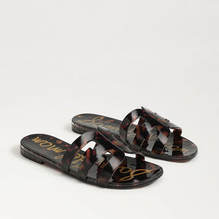 Bay Jelly, Tortoise
