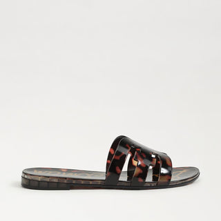 Bay Jelly, Tortoise
